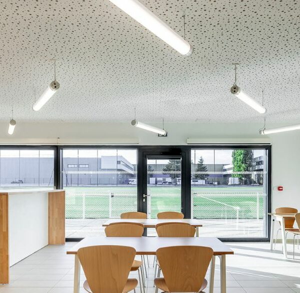 Caesar_CHEVILLY_LA_RUE_ENGASSER_ARCHI_PHOTO_LUC_BOEGLYH